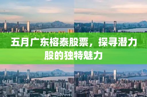五月广东榕泰股票，探寻潜力股的独特魅力