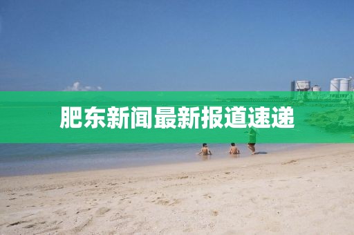 肥东新闻最新报道速递