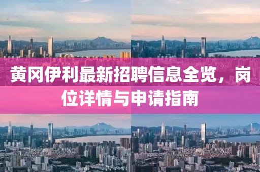 黄冈伊利最新招聘信息全览，岗位详情与申请指南