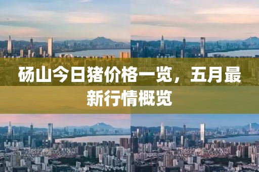 砀山今日猪价格一览，五月最新行情概览