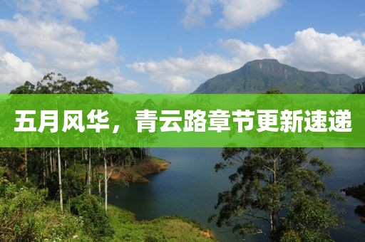 五月风华，青云路章节更新速递