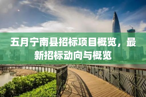 五月宁南县招标项目概览，最新招标动向与概览