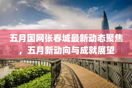 五月国网张春城最新动态聚焦，五月新动向与成就展望