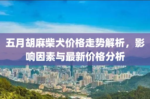五月胡麻柴犬价格走势解析，影响因素与最新价格分析