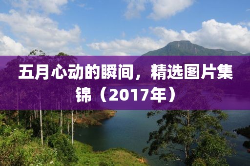 五月心动的瞬间，精选图片集锦（2017年）