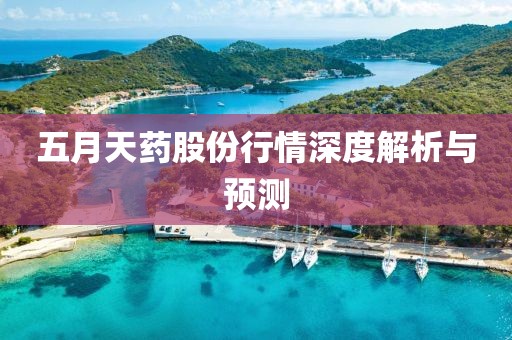 五月天药股份行情深度解析与预测