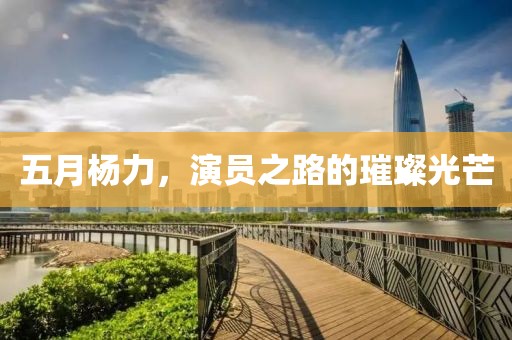 五月杨力，演员之路的璀璨光芒