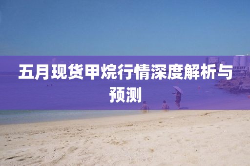 五月现货甲烷行情深度解析与预测