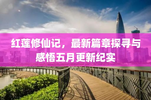 红莲修仙记，最新篇章探寻与感悟五月更新纪实