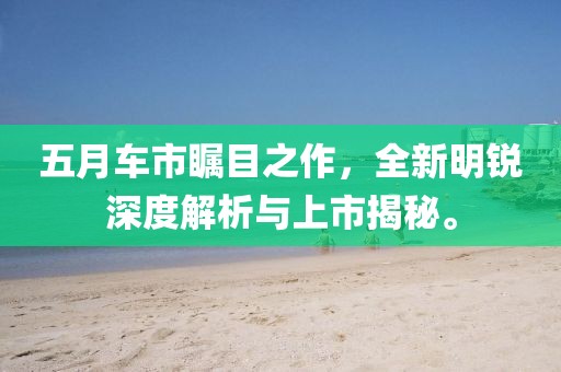 五月车市瞩目之作，全新明锐深度解析与上市揭秘。