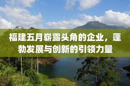 福建五月崭露头角的企业，蓬勃发展与创新的引领力量