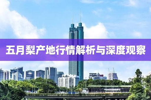 五月梨产地行情解析与深度观察