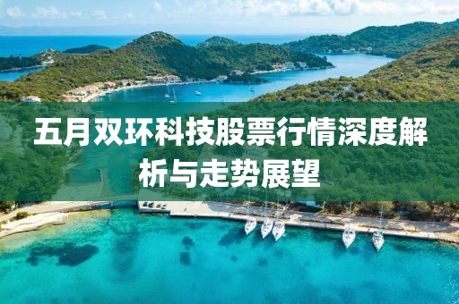 五月双环科技股票行情深度解析与走势展望