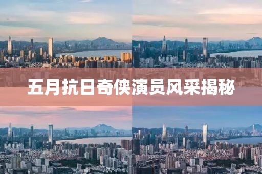 五月抗日奇侠演员风采揭秘