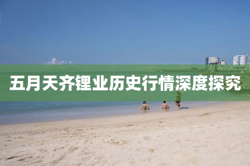 五月天齐锂业历史行情深度探究