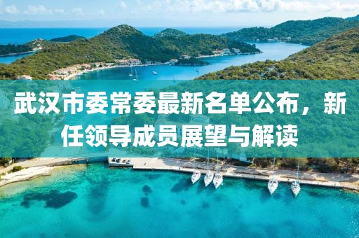武汉市委常委最新名单公布，新任领导成员展望与解读