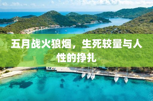 五月战火狼烟，生死较量与人性的挣扎