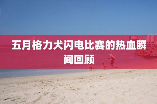 五月格力犬闪电比赛的热血瞬间回顾