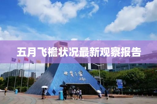 五月飞檐状况最新观察报告