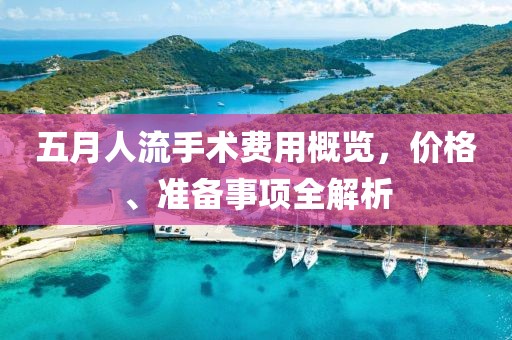 五月人流手术费用概览，价格、准备事项全解析