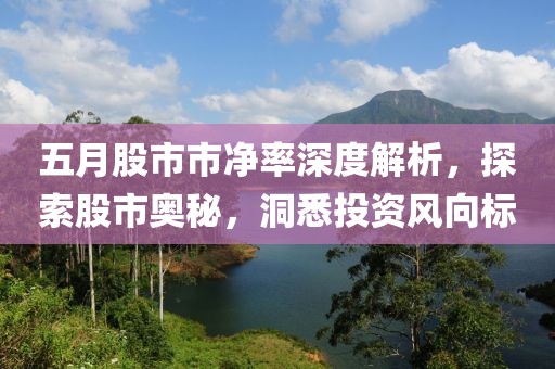 五月股市市净率深度解析，探索股市奥秘，洞悉投资风向标