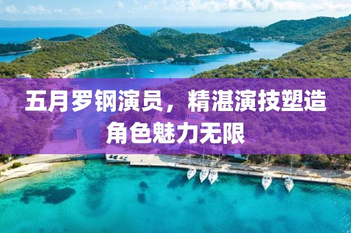 五月罗钢演员，精湛演技塑造角色魅力无限