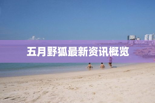 五月野狐最新资讯概览
