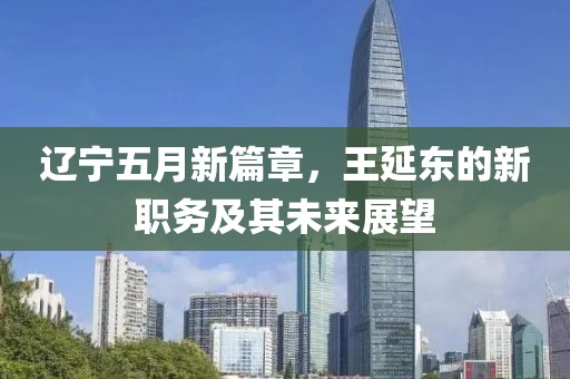 辽宁五月新篇章，王延东的新职务及其未来展望