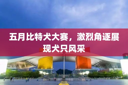 五月比特犬大赛，激烈角逐展现犬只风采