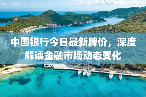 中国银行今日最新牌价，深度解读金融市场动态变化