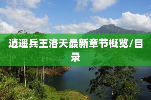逍遥兵王洛天最新章节概览/目录