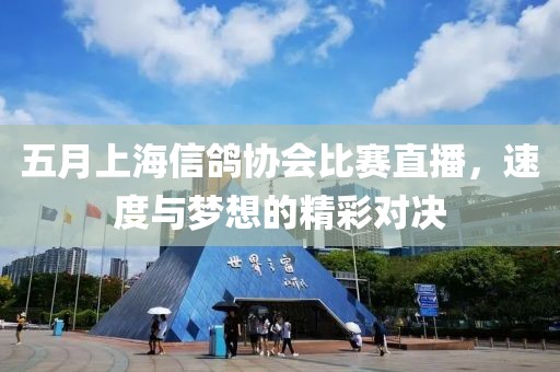 五月上海信鸽协会比赛直播，速度与梦想的精彩对决