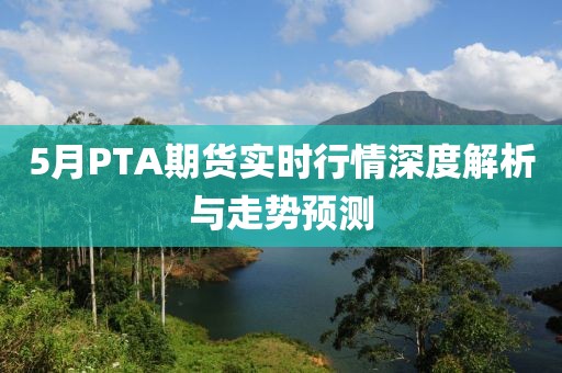 5月PTA期货实时行情深度解析与走势预测