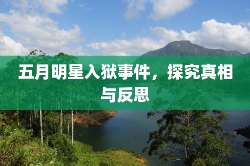 五月明星入狱事件，探究真相与反思