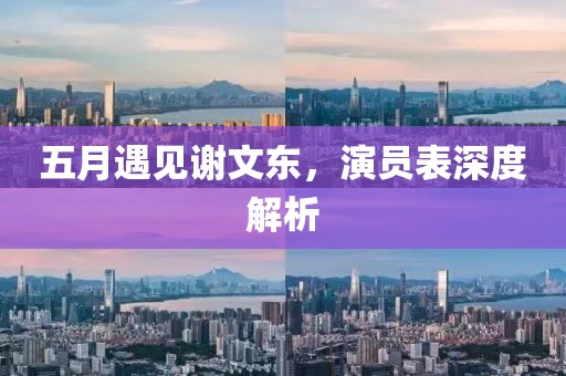 五月遇见谢文东，演员表深度解析