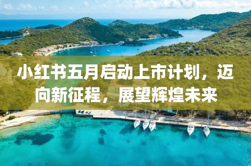小红书五月启动上市计划，迈向新征程，展望辉煌未来
