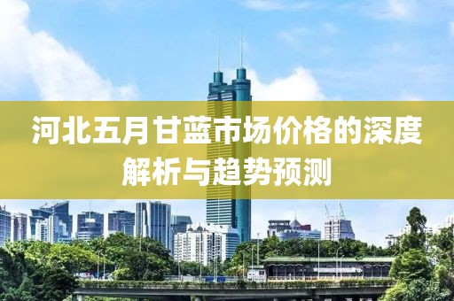 河北五月甘蓝市场价格的深度解析与趋势预测