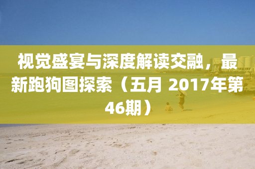 视觉盛宴与深度解读交融，最新跑狗图探索（五月 2017年第46期）