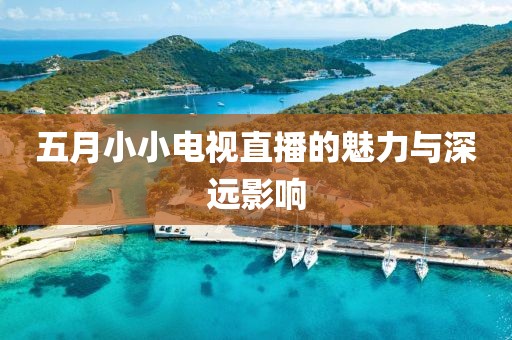 五月小小电视直播的魅力与深远影响