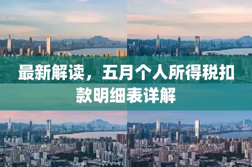 最新解读，五月个人所得税扣款明细表详解
