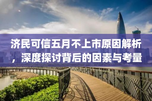 济民可信五月不上市原因解析，深度探讨背后的因素与考量