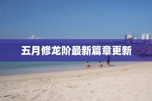 五月修龙阶最新篇章更新