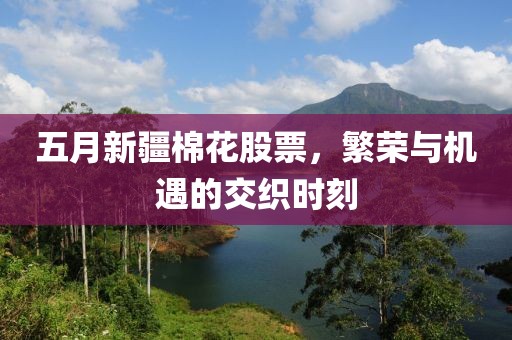 五月新疆棉花股票，繁荣与机遇的交织时刻