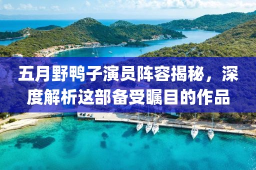 五月野鸭子演员阵容揭秘，深度解析这部备受瞩目的作品