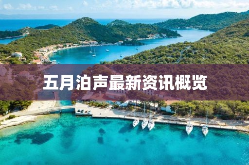 五月泊声最新资讯概览