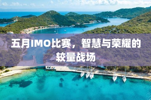五月IMO比赛，智慧与荣耀的较量战场