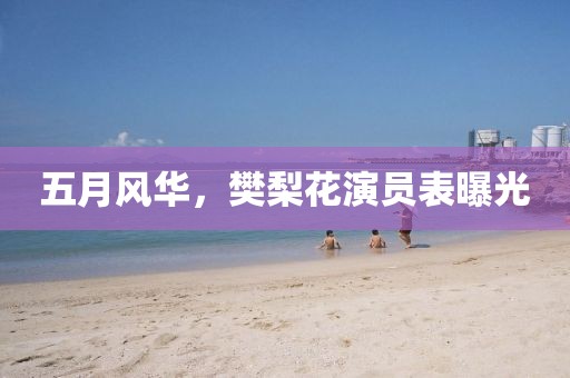 五月风华，樊梨花演员表曝光