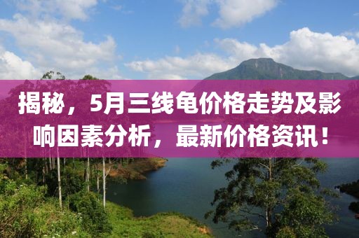 揭秘，5月三线龟价格走势及影响因素分析，最新价格资讯！