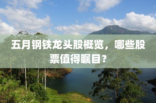五月钢铁龙头股概览，哪些股票值得瞩目？
