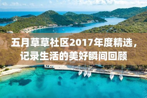 五月草草社区2017年度精选，记录生活的美好瞬间回顾